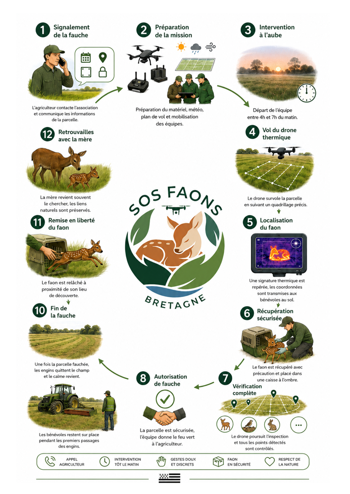 Déroulement complet d'une mission de sauvetage des faons